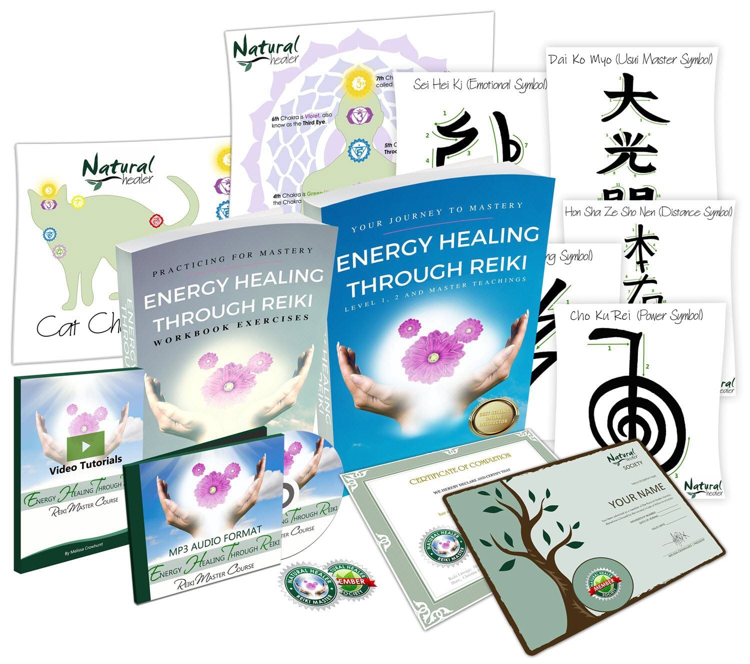 Be a Healer! $77 Online Level 1, 2 and Reiki Master Certification Course