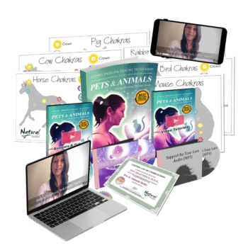 Online Pets & Animals Reiki Energy Healing Certification Course