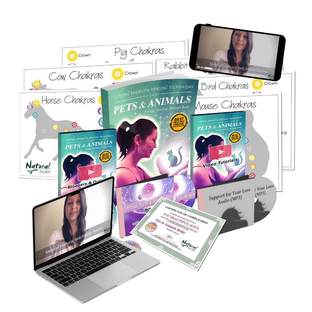 Online Pets & Animals Reiki Energy Healing Certification Course